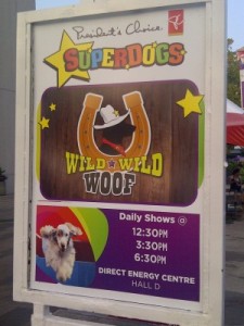 SuperDogs Toronto-20130828-00009